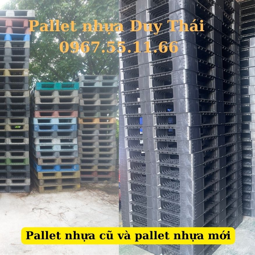 Pallet nhựa cũ và pallet nhựa mới