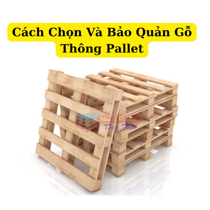 Cách Chọn Và Bảo Quản Gỗ Thông Pallet