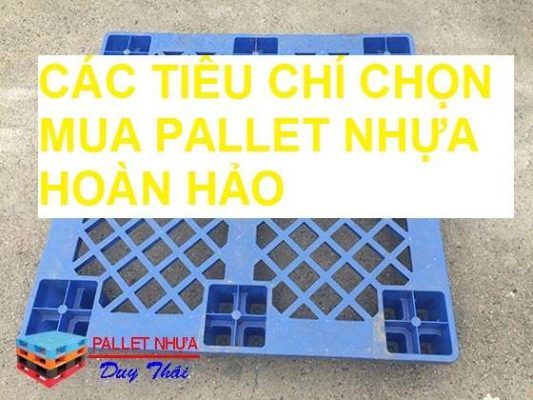 Các tiêu chí chọn mua pallet nhựa