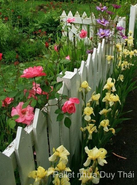 Hàng rào gỗ pallet ứng dụng để bảo vệ vườn hoa