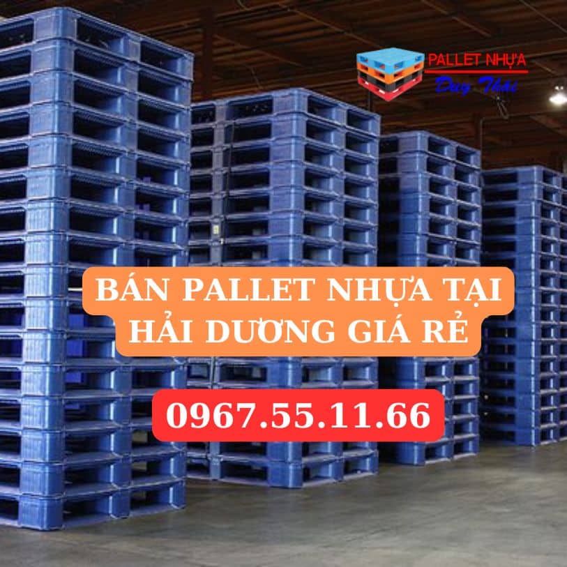 BÁN PALLET NHỰA TẠI HẢI DƯƠNG GIÁ RẺ