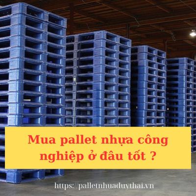 Pallet nhựa công nghiệp mua ở đâu tốt ?