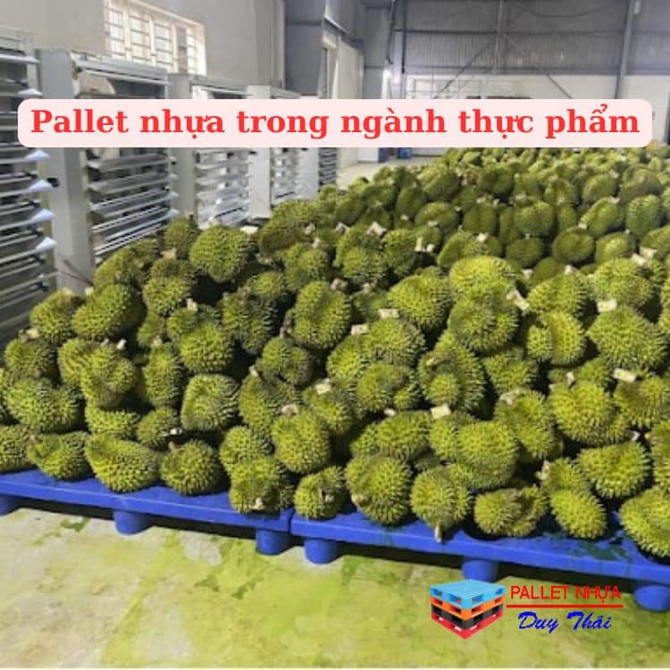 Pallet nhựa trong ngành thực phẩm