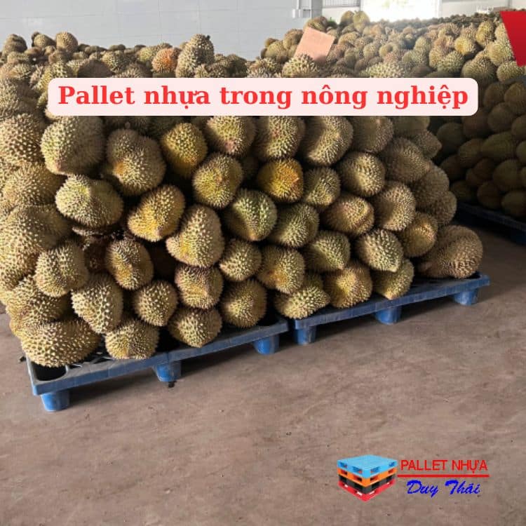 Pallet nhựa trong nông nghiệp