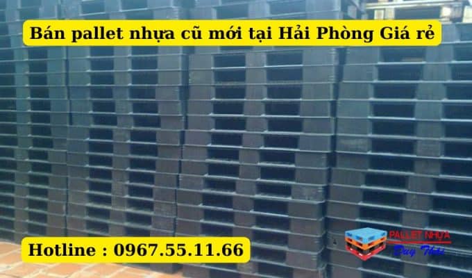 Pallet nhựa tại hải Phòng