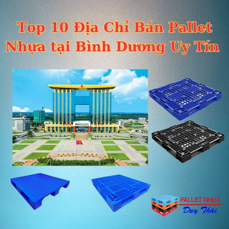 Top 10 Địa Chỉ Bán Pallet Nhựa tại Bình Dương Uy Tín