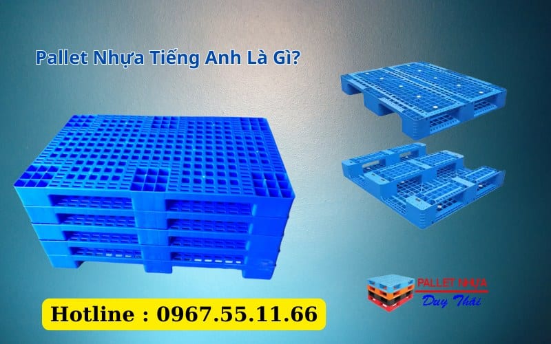 Pallet Nhựa Tiếng Anh Là Gì