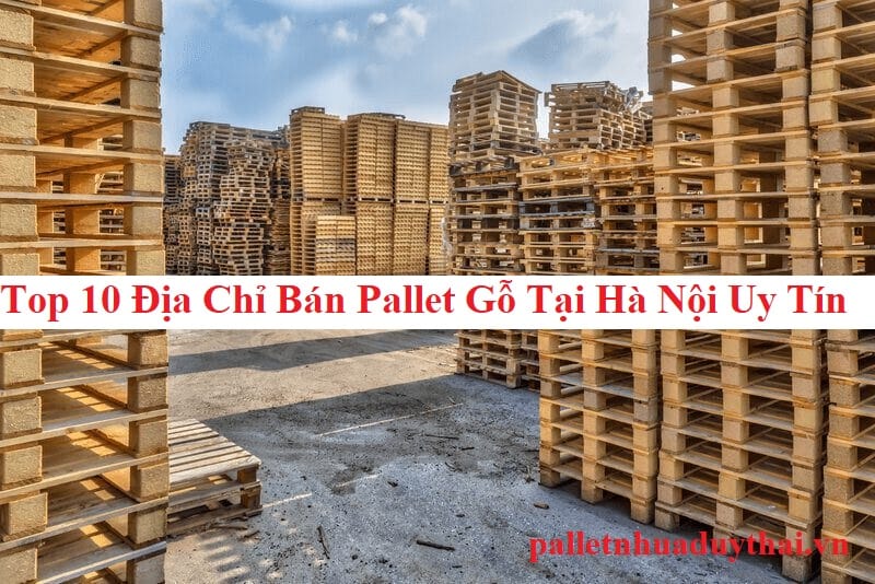 Top 10 Địa Chỉ Bán Pallet Gỗ Tại Hà Nội Uy Tín